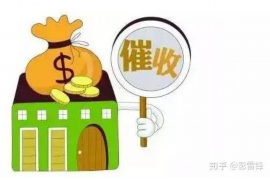 肥城肥城的要账公司在催收过程中的策略和技巧有哪些？